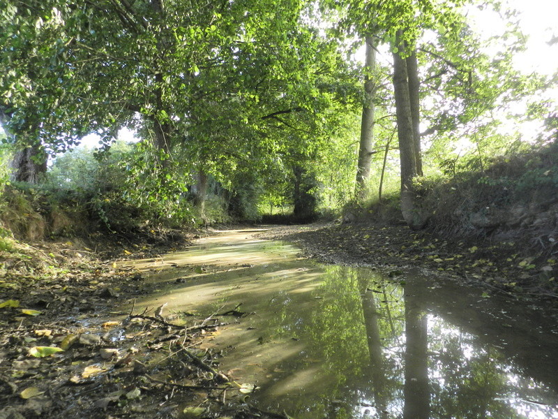 Dans l'Ouest la rivière est à sec (24/06/2017) Vauvyr24