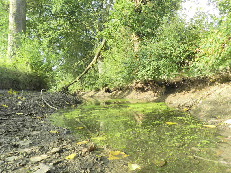 Dans l'Ouest la rivière est à sec (24/06/2017) Vauvyr25