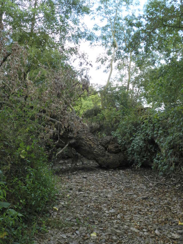 Dans l'Ouest la rivière est à sec (24/06/2017) Vauvyr30