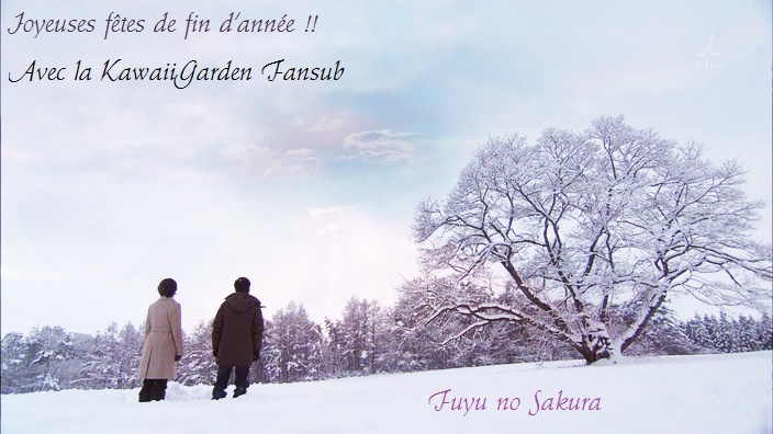 Suite du projet InterTeams Noël 2012 Fuyu_n10