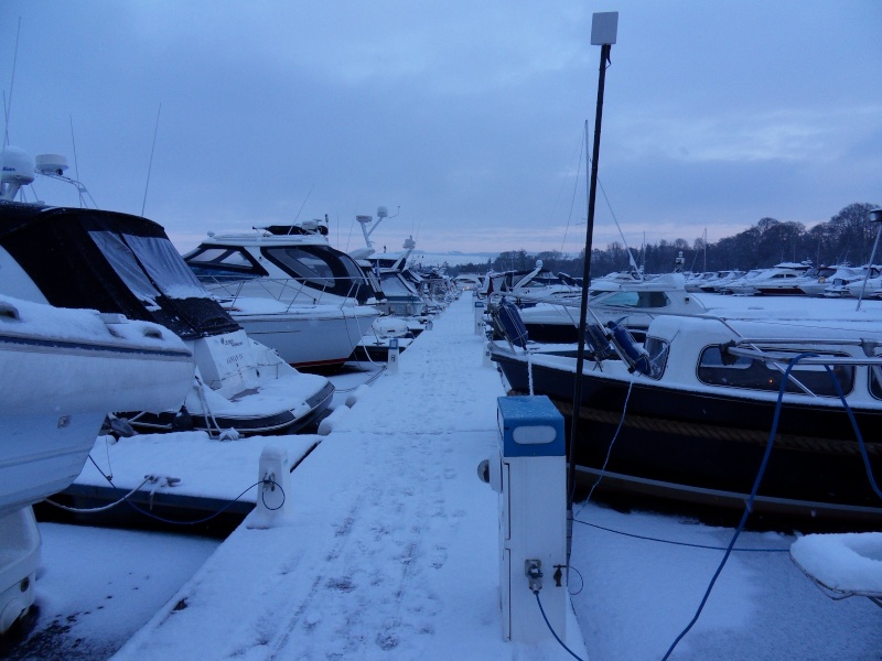 Pictures & Video of the marina in the snow Sdc10423