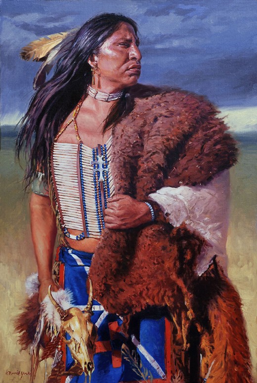 Кожа индейца. David Yorke художник индейцы. Индеец в шкуре. Индейцы США.