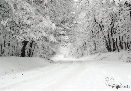 Bonjour sous la neige Neige11