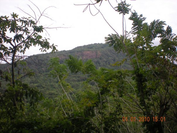 UCCP-Kawit CYF Post Camp at Pico de Loro 22662_32