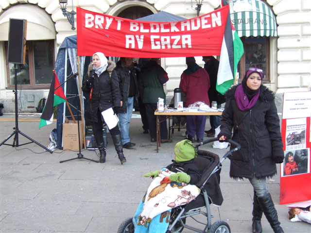 نشطاء أوبسالا يذكرون العالم بما حدث منذ عام فى غزة صور 2010_014