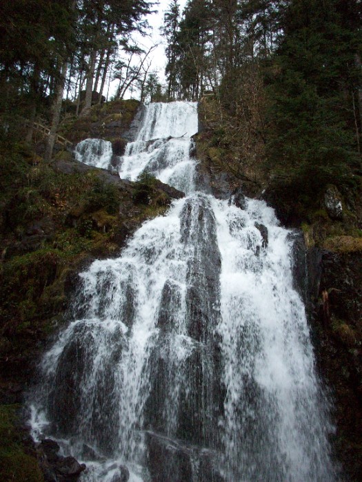 Bienvenue dans les Vosges Grande10