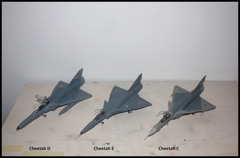 1/48 Feulements de Cheetah. Cheeta21