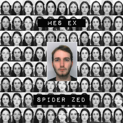 Spider_ZED-Mes_Ex-WEB-FR-2017-sceau 00-spi10