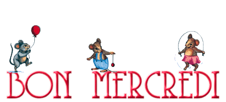 MERCOLEDI 9 GENNAIO 25460210