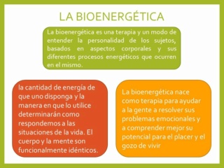 La bioenergética Slide_10