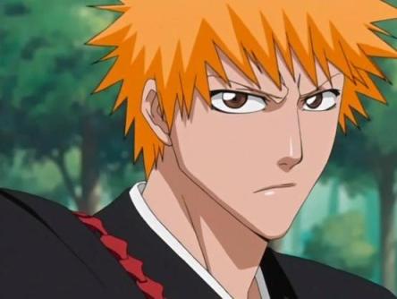 Kurosaki Ichigo vs Sosuke Aizen Ichigo11