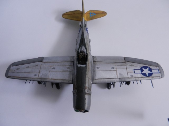 Republic Thunderboldt P-47 (Photos finale) Dscn6724