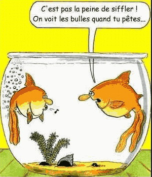 humour en images II - Page 12 Poisso10