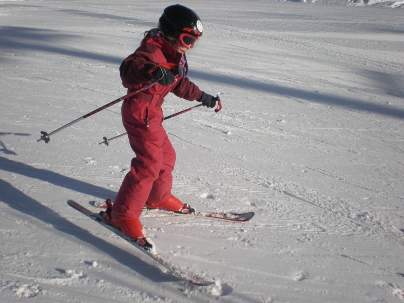 Le pas de patineur P1111921