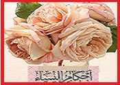 الأســــــــــــرة والـطـفـــــــــــــل Untitl98
