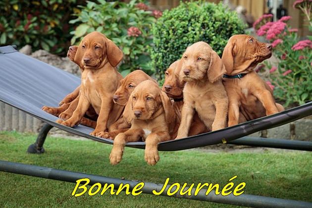 Bonjour, bonsoir..... - Page 3 9514610