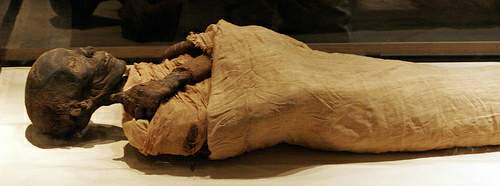 قصة اكتشاف جثة الفرعون 11837511