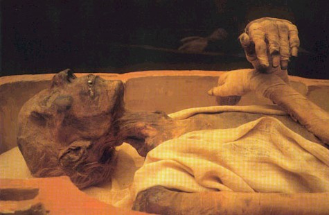 قصة اكتشاف جثة الفرعون 11837514