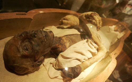 قصة اكتشاف جثة الفرعون 11837515
