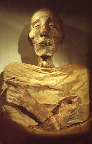قصة اكتشاف جثة الفرعون 11837516