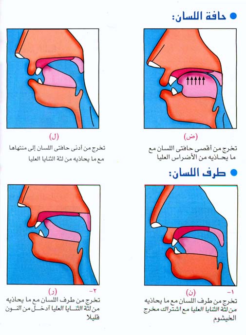 أحكام تجويد القرآن الكريم 6081_i10