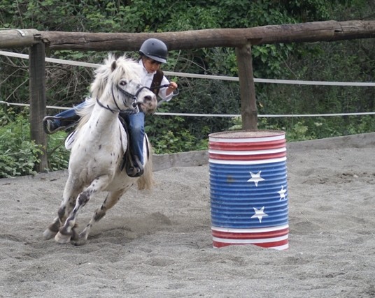 Poney appaloosa Poney_10