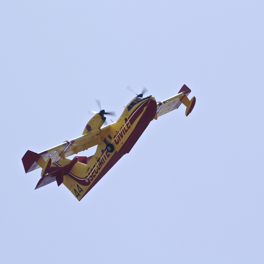 Les "Jaune & rouge", ainsi que les "Rouge & blanc" à Campo dell'Oro  -2017- Img_9026