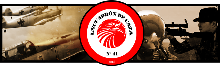 Escuadrón de Caza Nº41