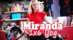 Miranda : votre épisode préféré de la saison 1 ! Mirand14