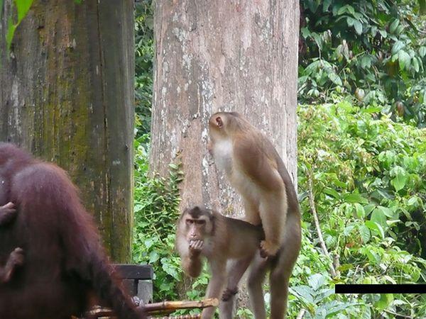 หลุดเด็กลพบุรี...ลีลาสุดสยิว‏ 111