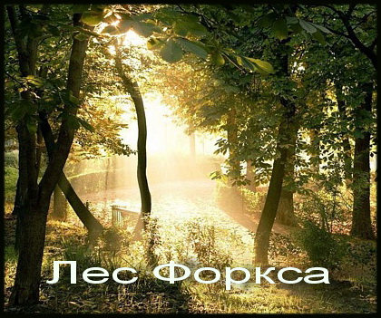 лес Форкса