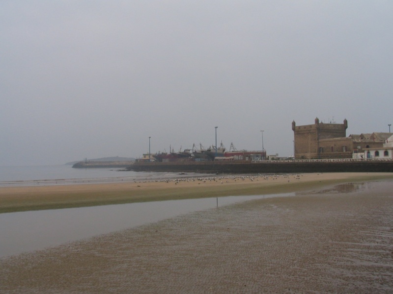 Essouira a admirer aux couleurs vives Immagi14