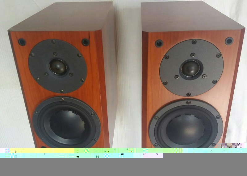 Dynaudio FOCUS 110 Speakers Dynaud13