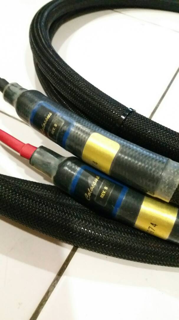 PAD Purist Audio Design Colossus Rev.B Fluid Speaker Cables - 3m pair