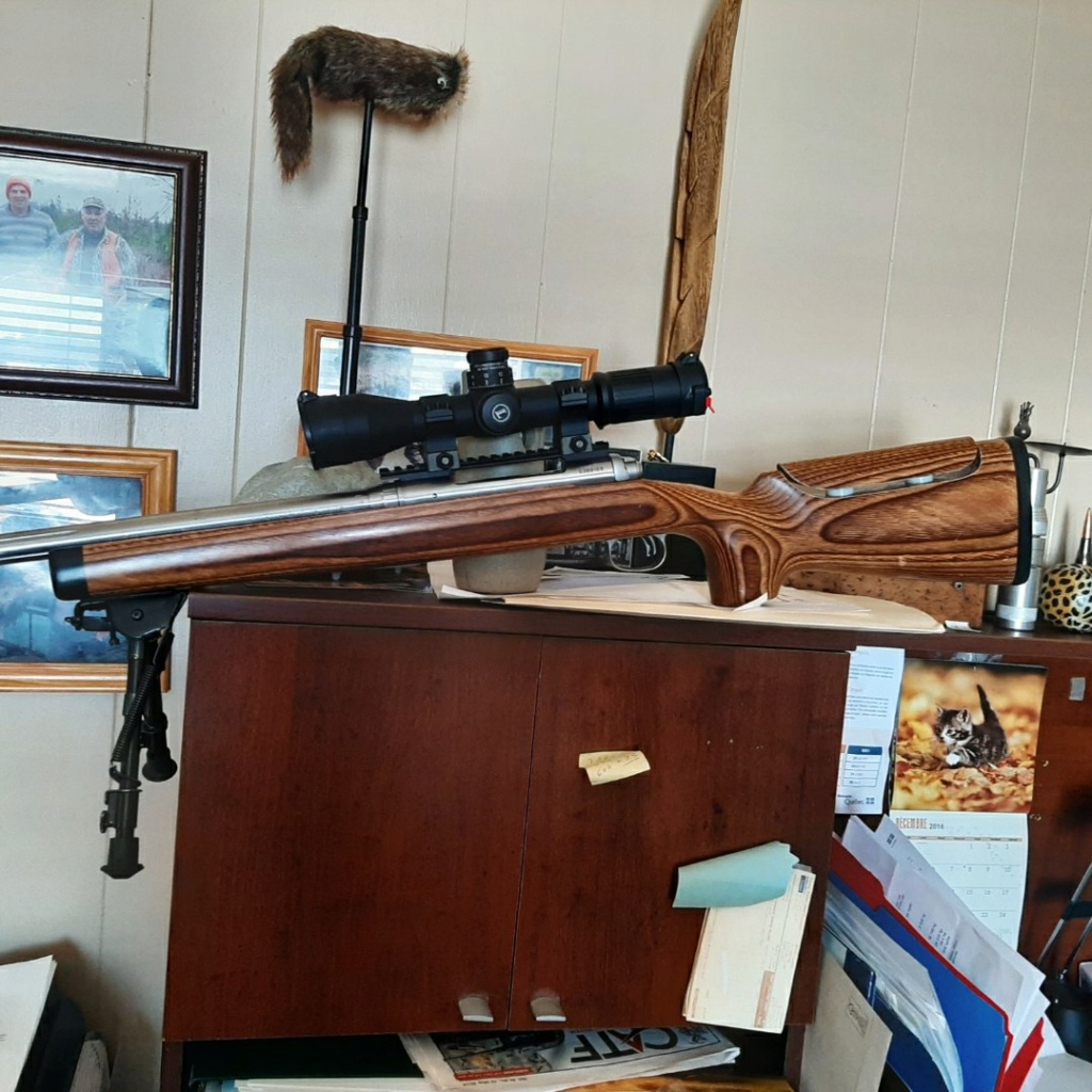 Rifle scope pour coyotes Cid_2410