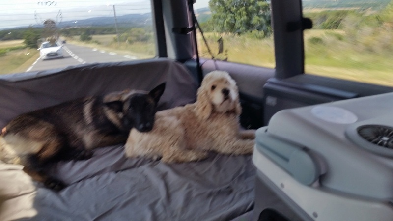 je vais zoom zoom zang Dans ma Benz Benz Benz - Page 2 20170610