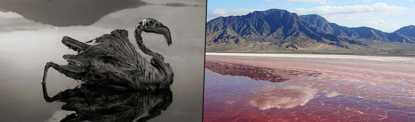 Il lago di Natron  Zxewex10