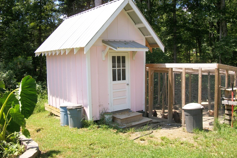 Dixie's "rustic" garden shed Chicke11