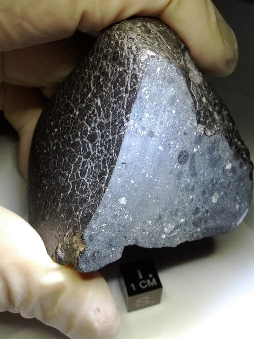 Découverte d'une météorite martienne unique, riche en eau  Media_10