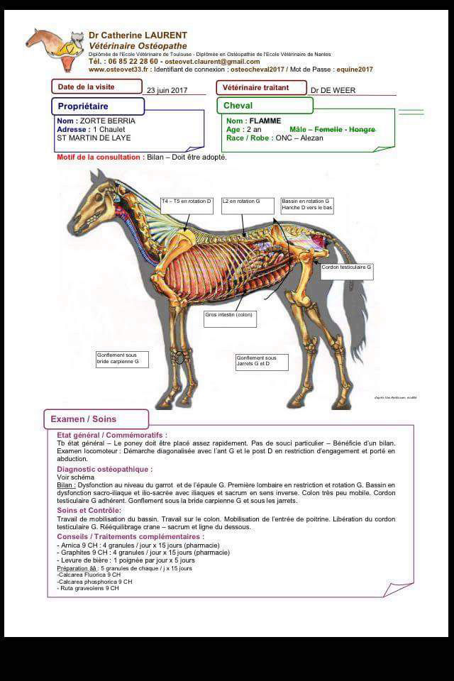 Flamme adopté Noé  - Page 2 Cr_ost10