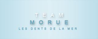 Choixpeau des team  Team_m10