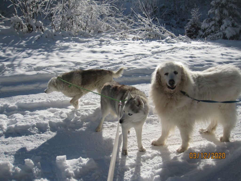 Saskia et Jiro retrouvent la Neige 1168