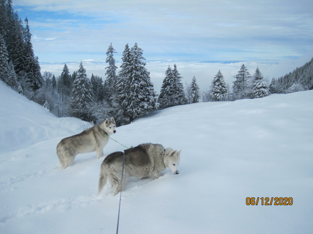 Saskia et Jiro retrouvent la Neige - Page 2 1249