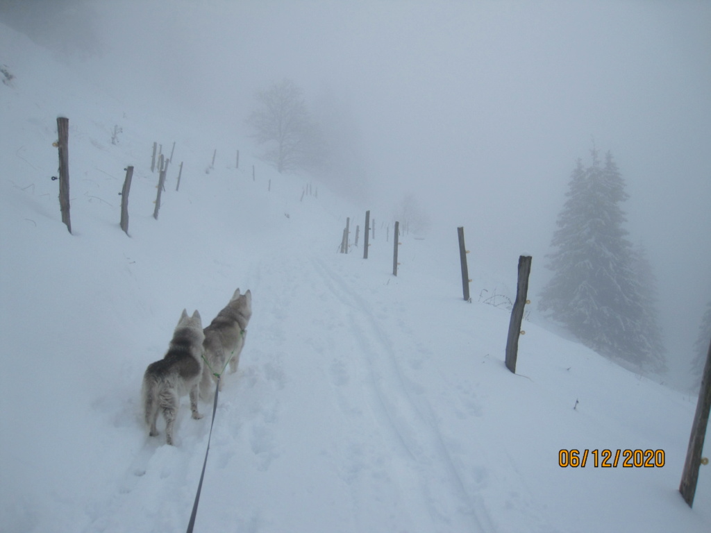 Saskia et Jiro retrouvent la Neige - Page 2 1530