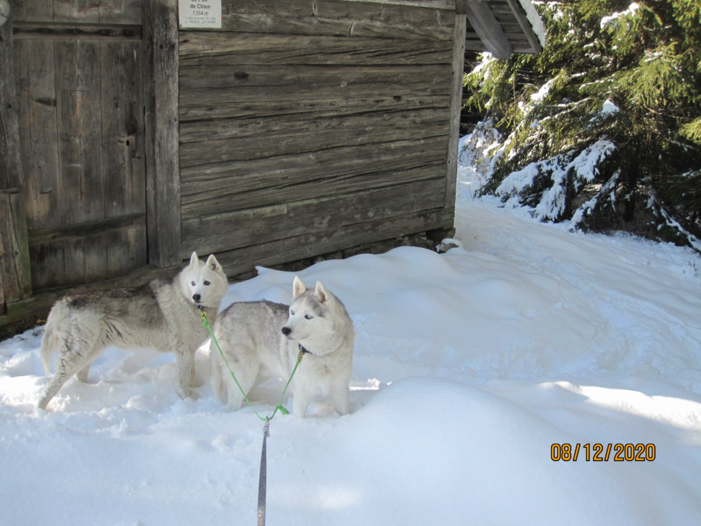 Saskia et Jiro retrouvent la Neige - Page 2 2139