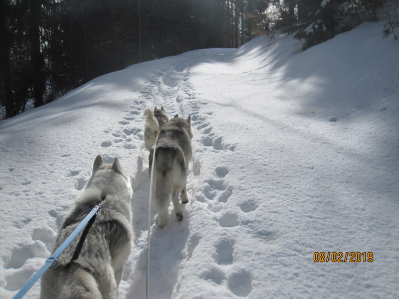 Saskia, Jiro, et leurs copains - Page 30 23_sur10