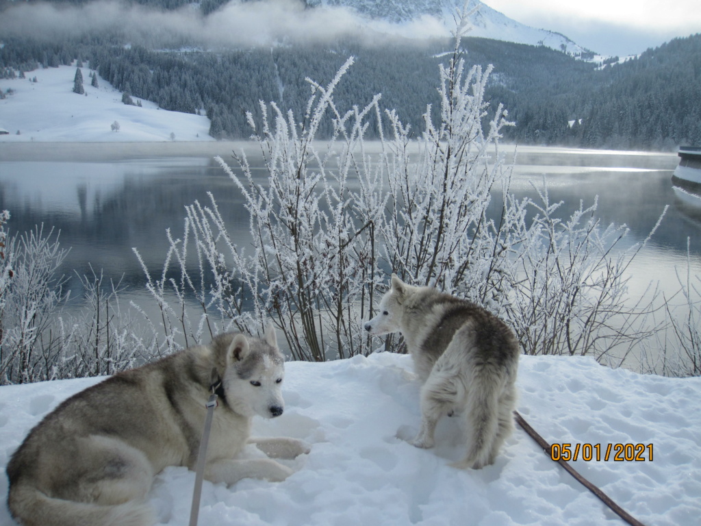 Saskia et Jiro retrouvent la Neige - Page 3 774