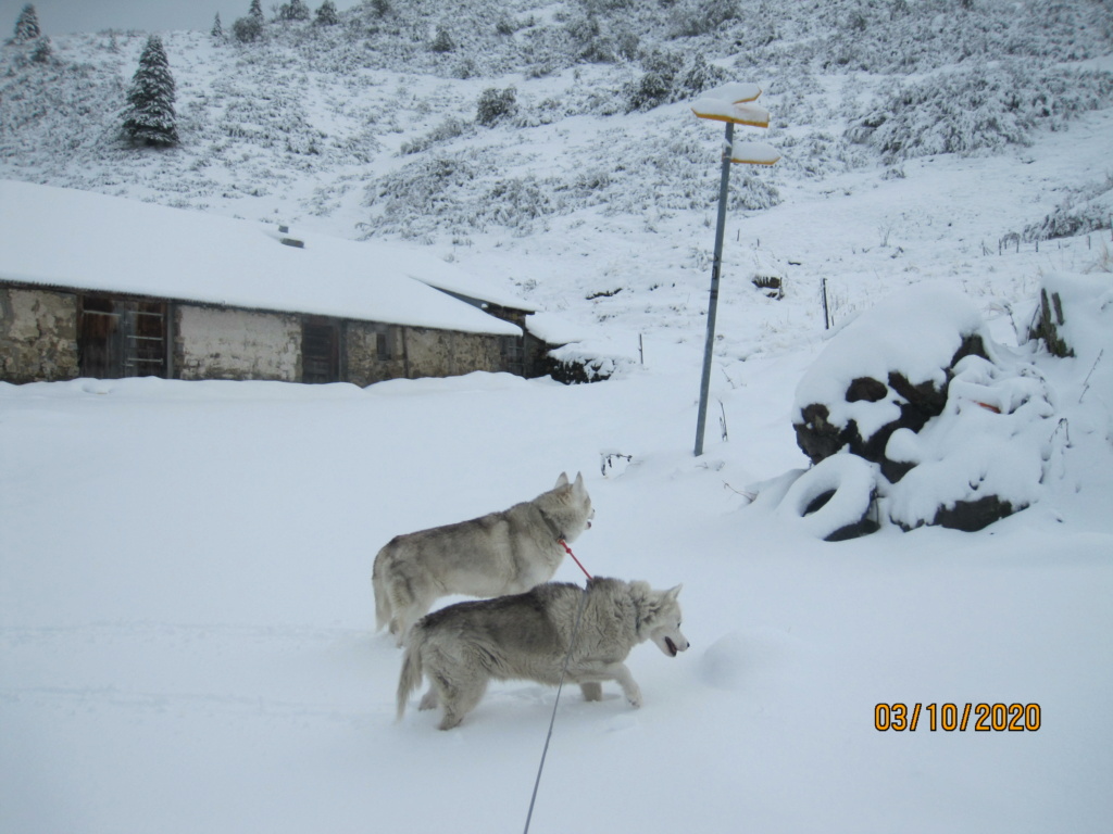 Saskia et Jiro retrouvent la Neige 953