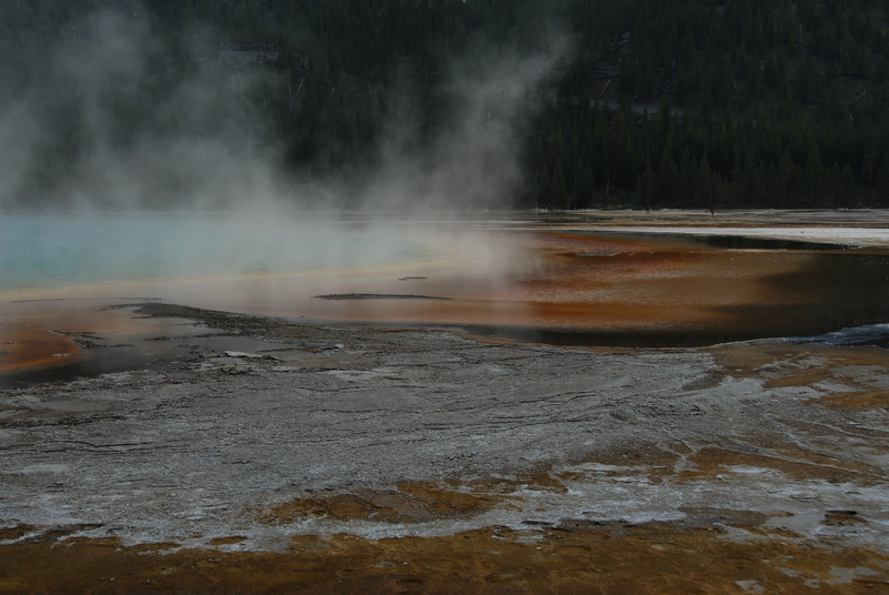 DE LAS VEGAS A YELLOWSTONE Dsc_6411