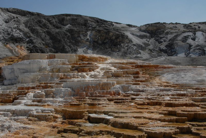 DE LAS VEGAS A YELLOWSTONE Dsc_6518